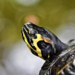 Dlaczego warto mieszkać w Mielnie w czasie wakacyjnego wyjazdu