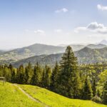 Czemu lepiej zregenerować wał zamiast kupować nowy