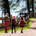 Koncepcja reklamowania ptaków żyjących na terenie Polski, jak i poszerzania informacji o przyrodzie